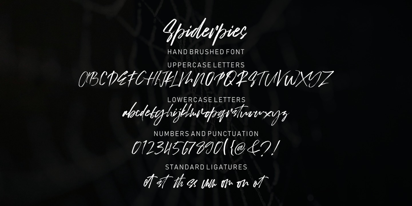 Пример шрифта Spiderpies #2